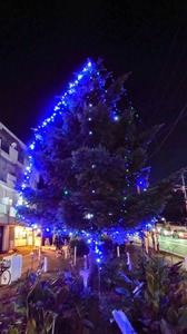 FB_IMG_1734704193850-b4b73.jpg