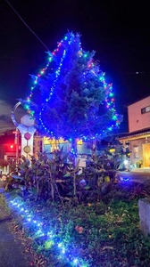 FB_IMG_1734704202518-038f9.jpg