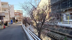 FB_IMG_1738588302523.jpg