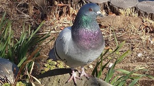 FB_IMG_1740840248776-7b0d8.jpg