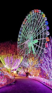 FB_IMG_1741615128429-080b3.jpg